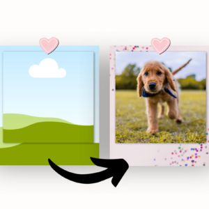 Polaroid Photo Canva Templates
