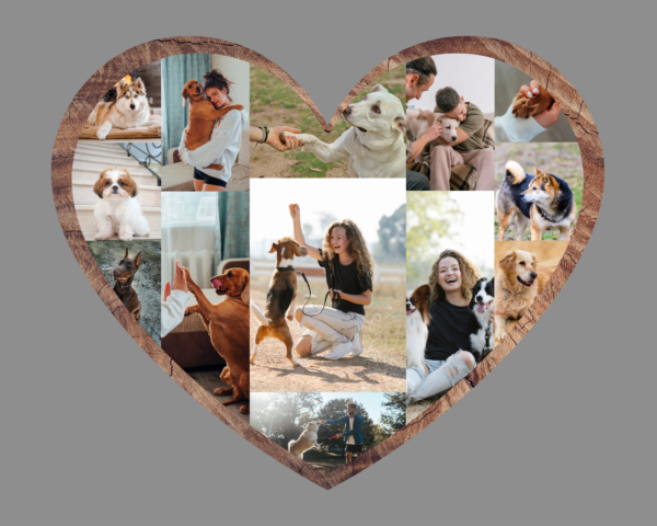 Set of Heart Canva Frames, Photo Collage Heart Frames, Photography Heart Shaped Picture Collage, Heart Collage Canva Picture, Love Romantic Collage