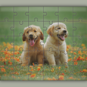 Puzzles Canva Mockup, Jigsaw puzzles Mockup, Puzzle Box, Puzzle Picture, Canva Frame Template, Sublimation Mockup, Custom Puzzle Mockup, Digital