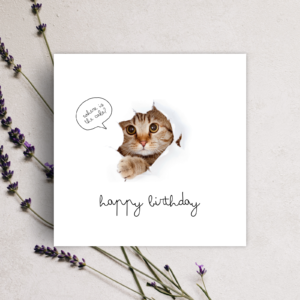 Square Card Mock ups, Blank Card Mockup, Square Invitation Mockup, Birthday Card, Stationary Mockup, Wedding Greeting Card Square 1:1, Canva Mockup Template Square Card Mockup, Blank Card Mockup, Invitation Mockup, Stationery Mockup, Wedding Card Mockup, Greeting Card Mockup, Canva Mockup Template, Card Display Mockup, Digital Card Mockup, Minimalist Card Mockup, Birthday Card Mockup, Wedding Invitation Mockup, Thank You Card Mockup, Holiday Card Mockup, Special Event Card Mockup, Flat Lay Card Mockup, Square Format Mockup, Realistic Card Mockup, Elegant Stationery Mockup, Paper Card Mockup, Instant Download Mockup, Editable Canva Mockup, DIY Card Mockup, High-Resolution Card Mockup,
